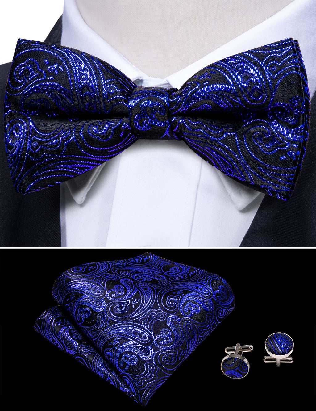 RoyalBlue Paisley Bow Tie Set bow ties - Sophisticated Gentlemen