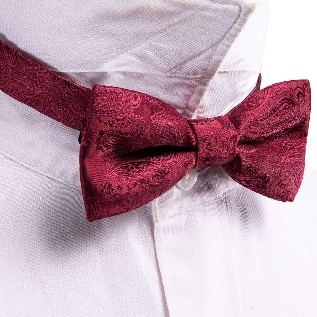 Red Paisley Silk Children Bow Tie Set bow ties - Sophisticated Gentlemen