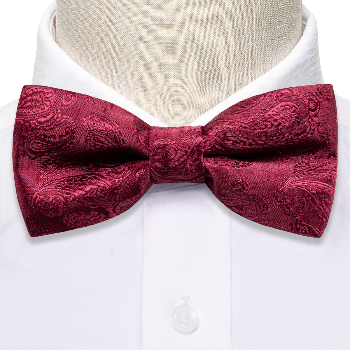 Red Paisley Silk Children Bow Tie Set bow ties - Sophisticated Gentlemen