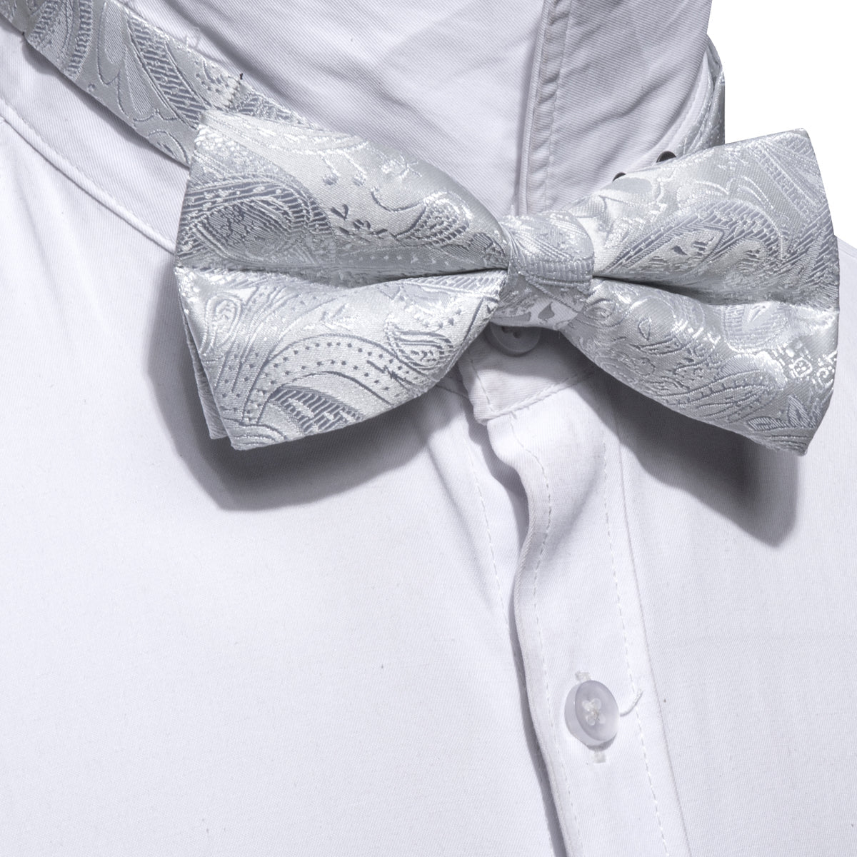 Silver White Paisley Bow Tie Set bow ties - Sophisticated Gentlemen