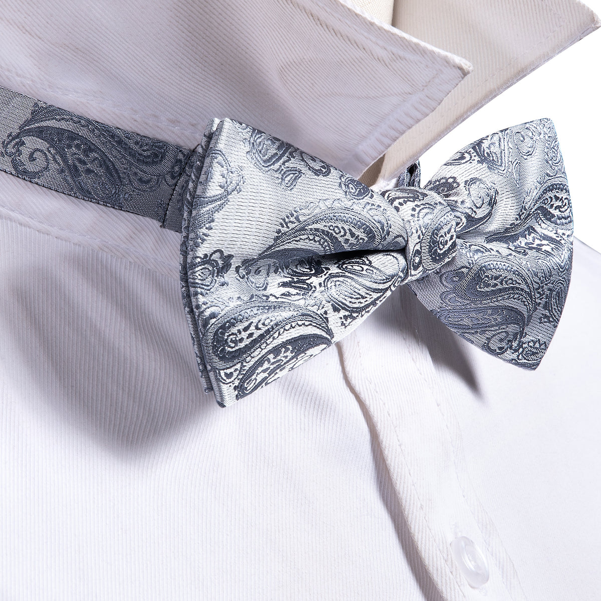 Silver Paisley Bow Tie Set bow ties - Sophisticated Gentlemen