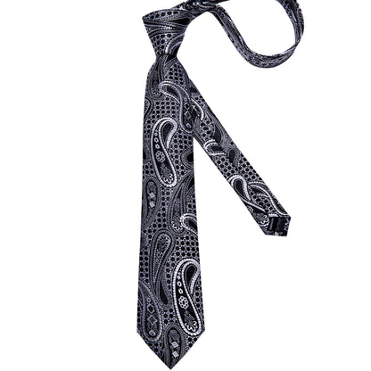 Full-length black and silver paisley silk tie on white background