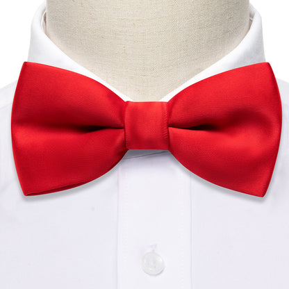 Red Solid Children's Silk Bow Tie Set bow ties    - Sophisticated Gentlemen