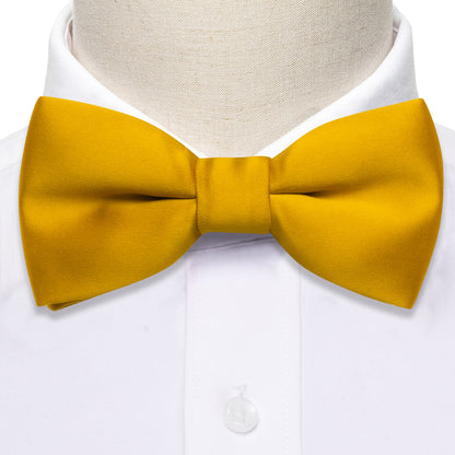 Golden Yellow Solid Kids Bow Tie Set bow ties    - Sophisticated Gentlemen
