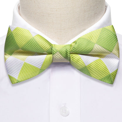 Green White Plaid Silk Bow Tie Set bow ties    - Sophisticated Gentlemen