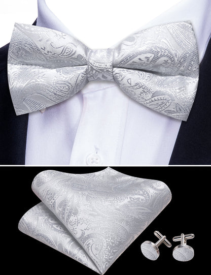 Silver White Paisley Bow Tie Set bow ties    - Sophisticated Gentlemen
