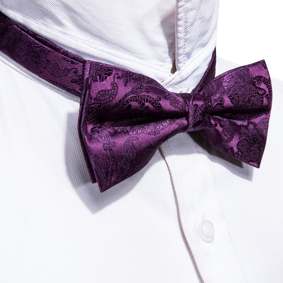Purple Paisley Bow Tie Set bow ties    - Sophisticated Gentlemen