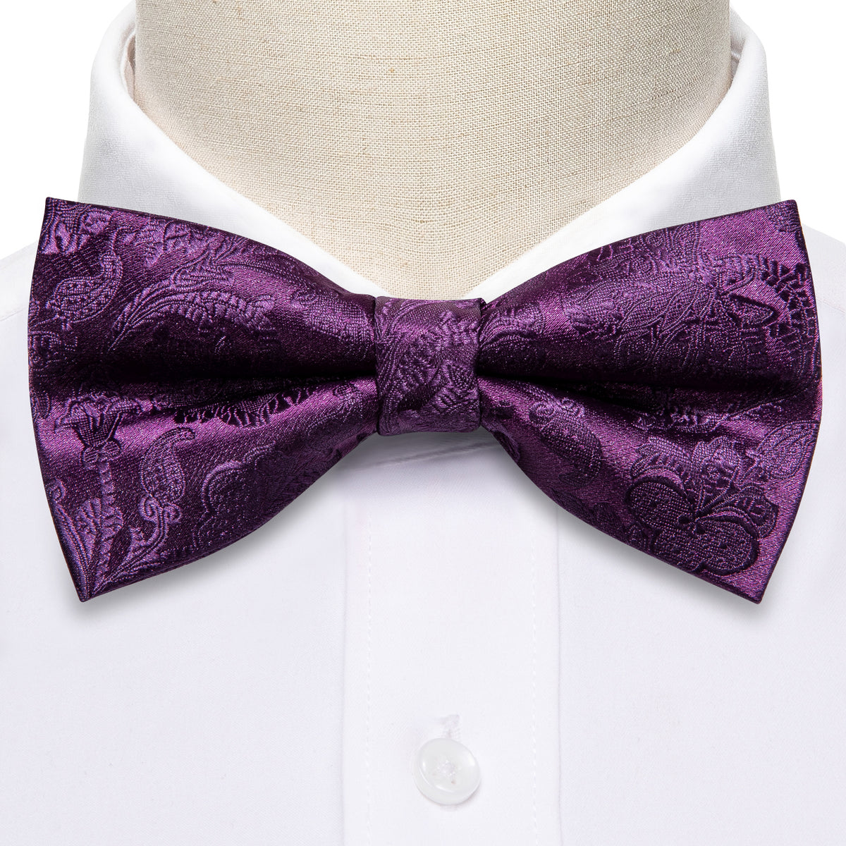 Purple Paisley Bow Tie Set bow ties    - Sophisticated Gentlemen