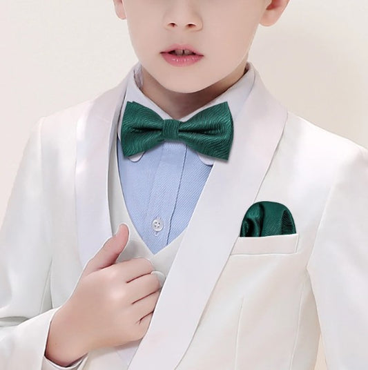 Bowtie Bow Tie Sets    - Sophisticated Gentlemen