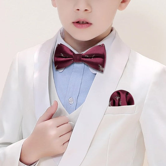 Children's Dinosaurs Bow Tie Set Bow Tie Sets    - Sophisticated Gentlemen