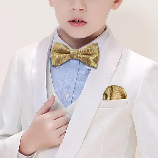 Bow Tie Bow Tie Sets    - Sophisticated Gentlemen